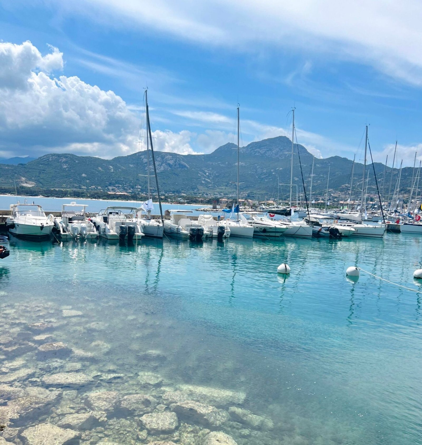 Calvi, l’élégance sauvage de la Haute-Corse