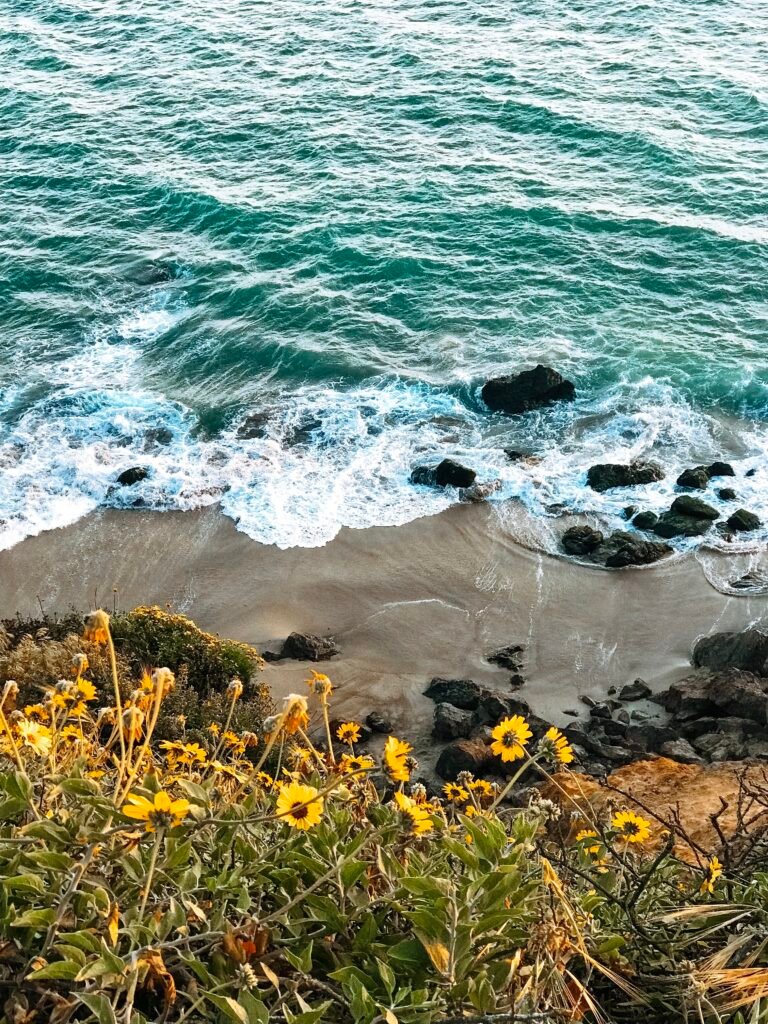 SentiersSaveursSantaBarbara2020