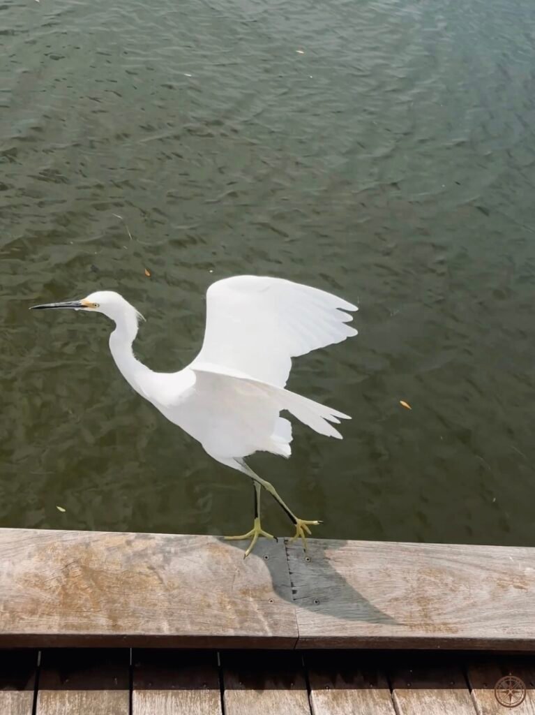 Sentierssaveurs_Accueil_TampaOiseau